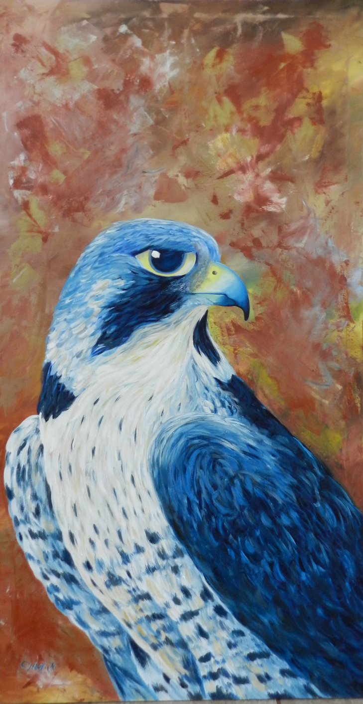 Peregrine Falcon - 2014 - Oil Painting